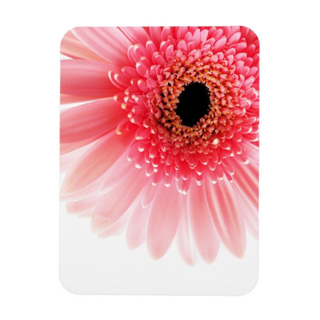 Gerbera Daisy Poster Magnet (Vertikal)