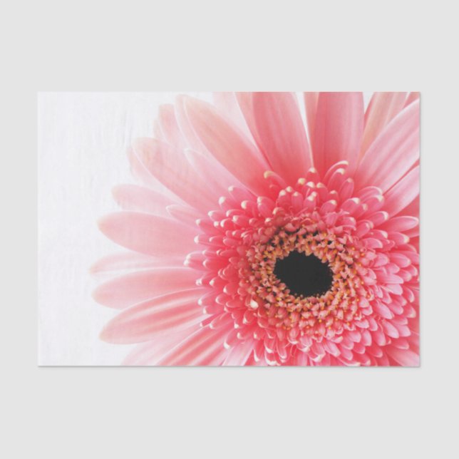 Gerbera Daisy Poster Seidenpapier (Vorderseite)