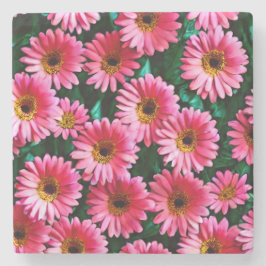 Gerbera Daisy Stone Untersetzer