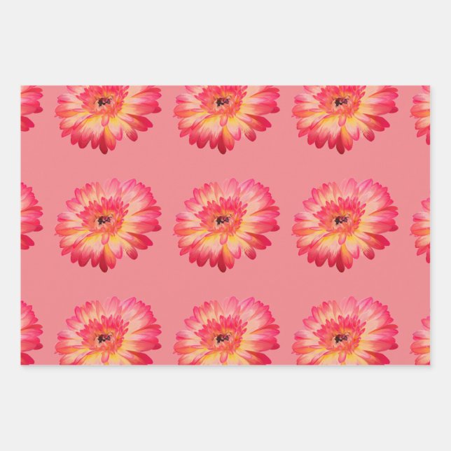 Gerbera Daisy und Aquamarine Butterfly-Geschenkwra Geschenkpapier Set (Vorderseite)
