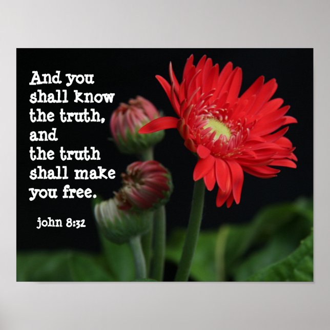 Gerbera Daisy w/ Scripture Verse (John 8:32) Poster (Vorne)