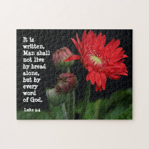 Gerbera Daisy w/ Scripture Verse (Luke 4:4)