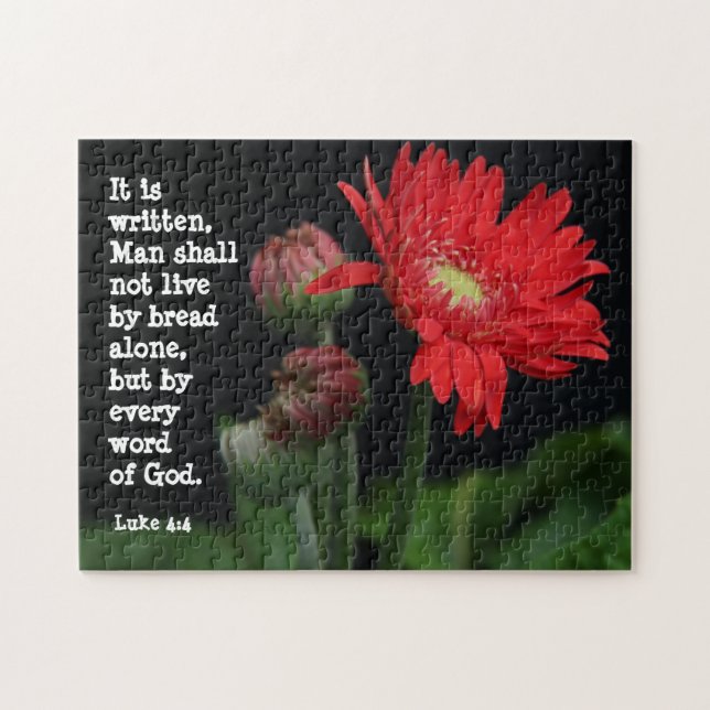 Gerbera Daisy w/ Scripture Verse (Luke 4:4) (Horizontal)