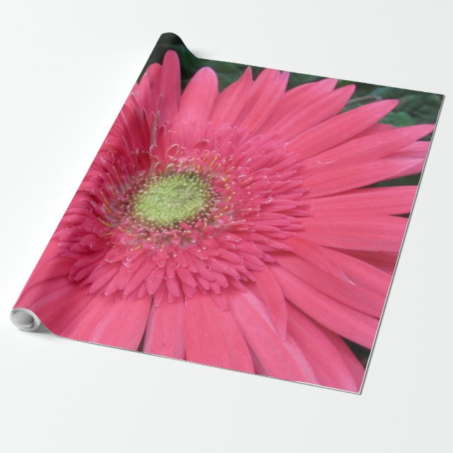 Gerbera Daisy Wrapping Paper Geschenkpapier (Ungerollt)