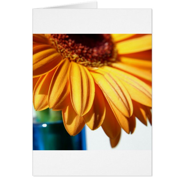Gerbera dans Blue Vase (Devant)