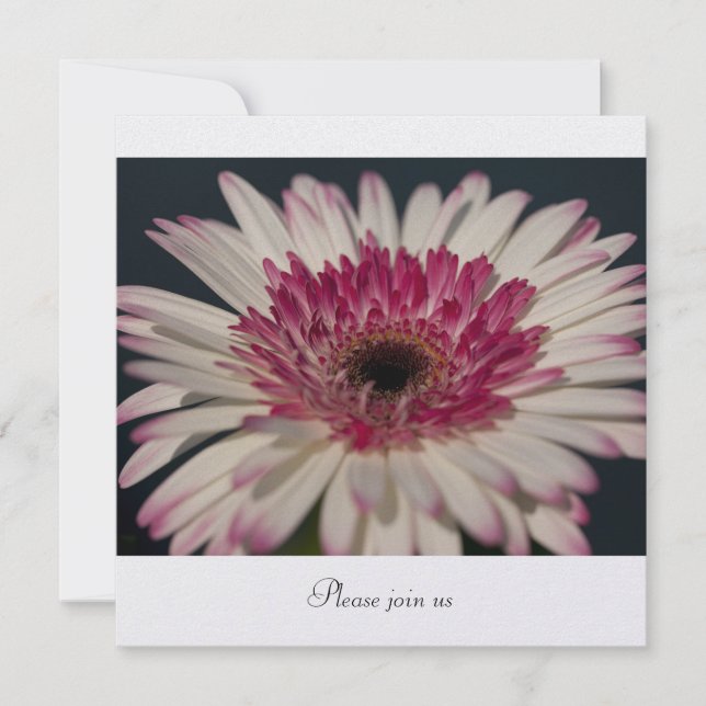Gerbera Einladung (Vorderseite)