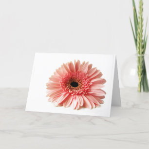 Gerbera Feiertagskarte