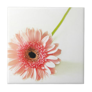 Gerbera Fliese
