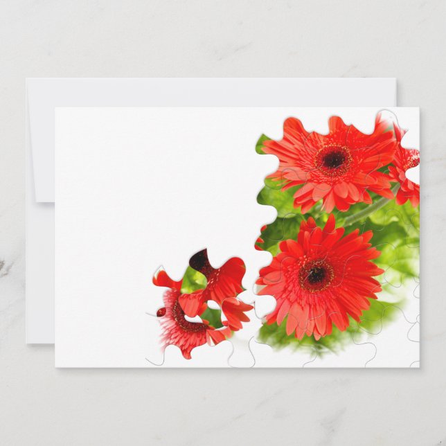 Gerbera-Foto (Vorderseite)