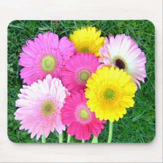 Gerbera-Gänseblümchen färbt Mousepad