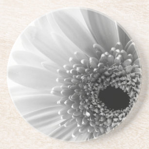 Gerbera Gänseblümchen Getränkeuntersetzer