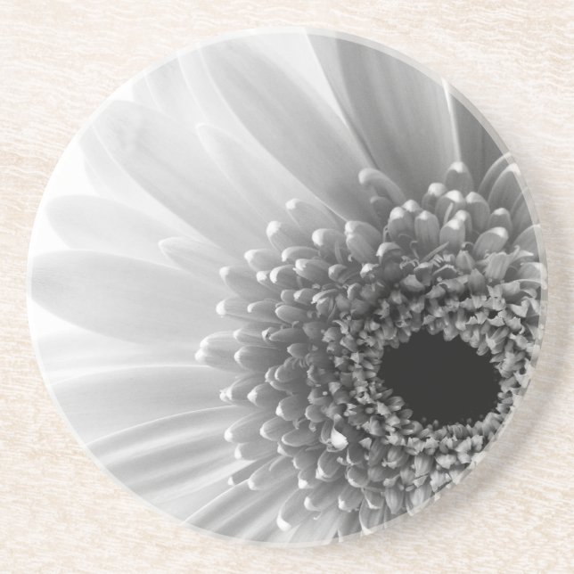Gerbera Gänseblümchen Getränkeuntersetzer (Vorne)