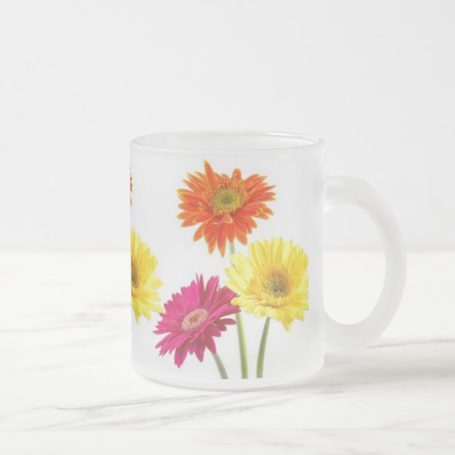 Gerbera-Gänseblümchen Mattglastasse (Rechts)