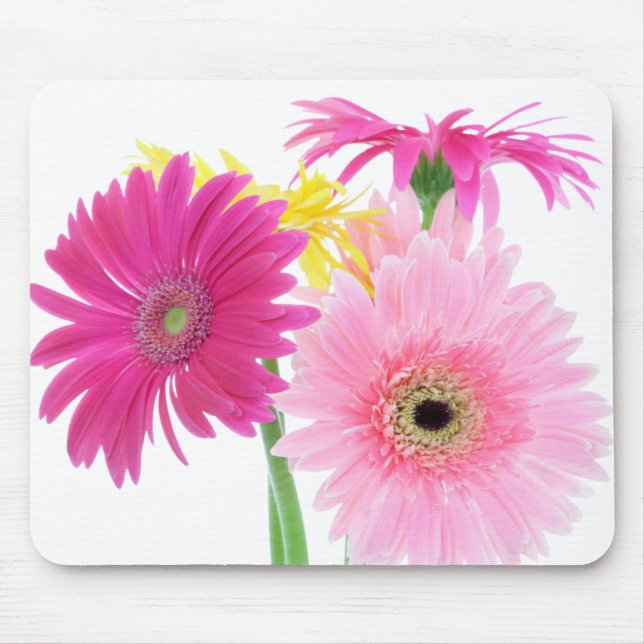 Gerbera-Gänseblümchen-Rosa-Blumen Mousepad (Vorne)