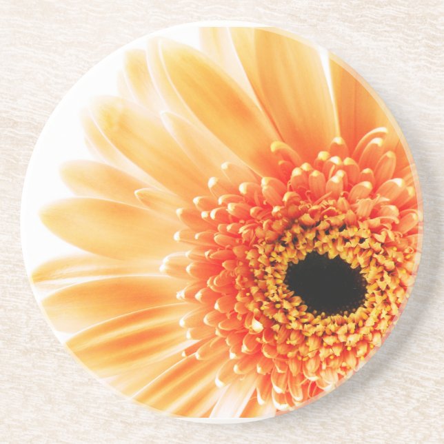Gerbera Gänseblümchen Untersetzer (Vorne)