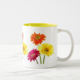 Gerbera-Gänseblümchen Zweifarbige Tasse