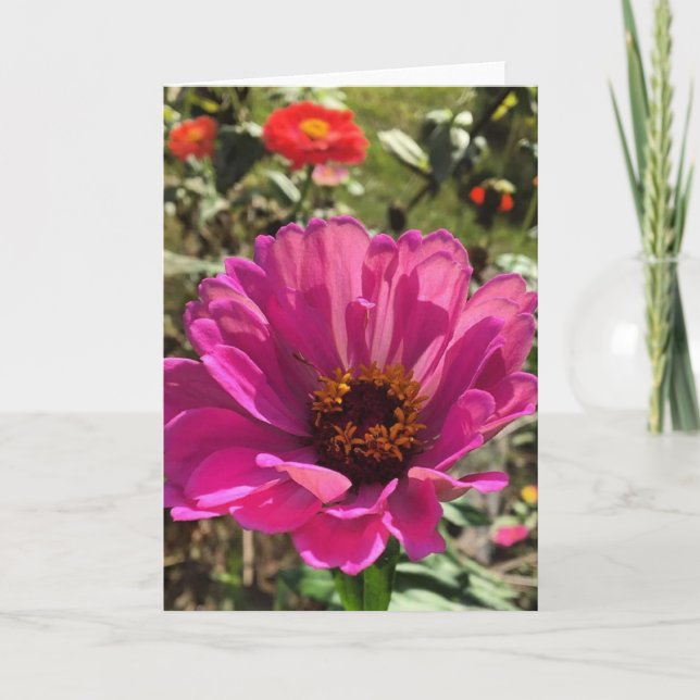 Gerbera Grußkarte (innen leer) Karte (Vorderseite)