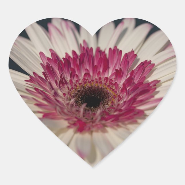 Gerbera Heart :) Herz-Aufkleber (Vorderseite)
