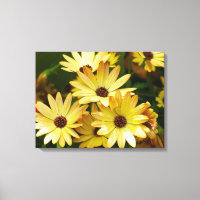 Gerbera Jaune Fleurs de marguerite Toile Art