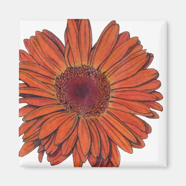 Gerbera Magnet (Vorne)