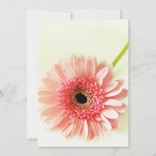 Gerbera-Margerite Dankeskarte