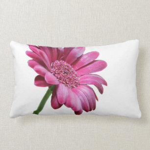 Gerbera-Margerite-Kissen Lendenkissen