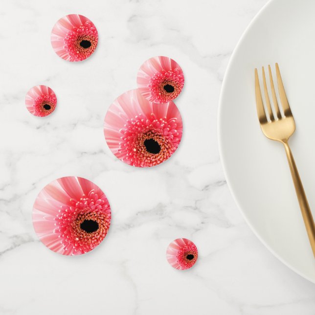Gerbera-Margerite Konfetti (Gruppe)