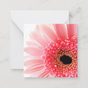 Gerbera-Margerite Mitteilungskarte