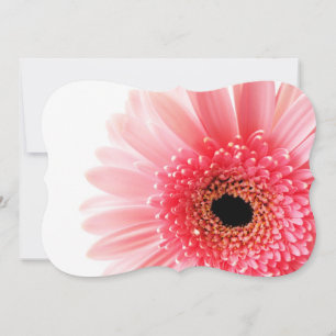 Gerbera-Margerite Poster