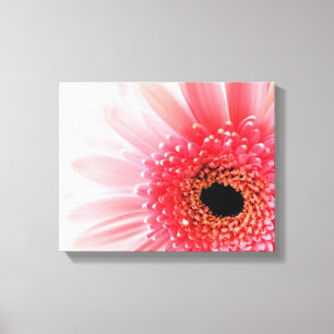 Gerbera-Margerite Poster Leinwanddruck