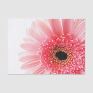 Gerbera-Margerite Poster Seidenpapier