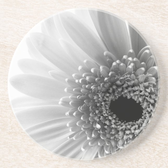 Gerbera-Margerite Sandstein Untersetzer (Vorne)