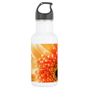 Gerbera-Margerite Trinkflasche