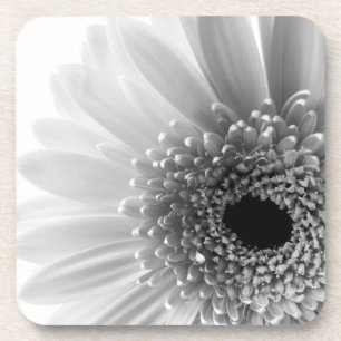 Gerbera-Margerite Untersetzer