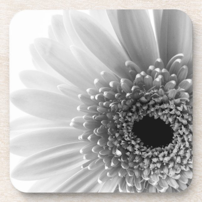 Gerbera-Margerite Untersetzer (Vorderseite)