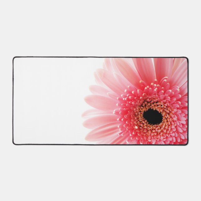 Gerbera marguerite (Recto)