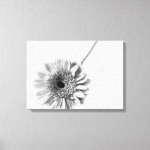 Gerbera-Marguerite Leinwanddruck