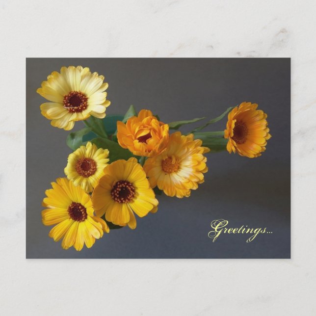 Gerbera Postkarte (Vorderseite)