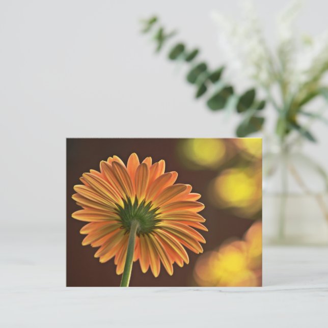 Gerbera Postkarte (Stehend Vorderseite)