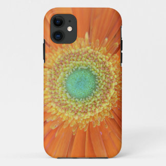 Gerbera Sun Case-Mate iPhone Hülle