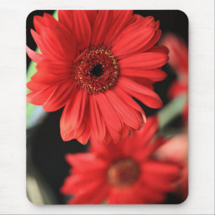 Gerberas Mousepad