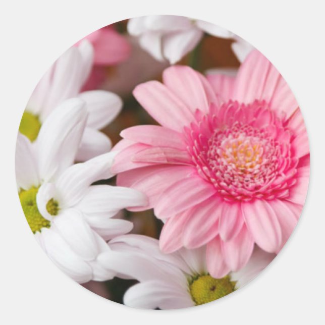 Gerberas und Chrysanthemas Runder Aufkleber (Vorderseite)