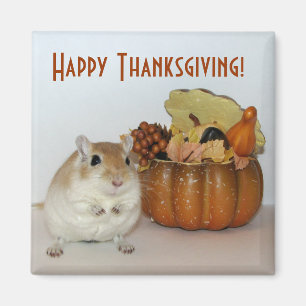 Gerbil-Erntedank-Magnet Magnet