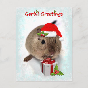 Gerbil Greetings Postcard Postkarte