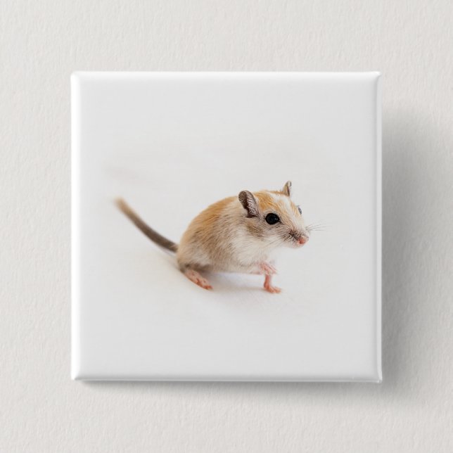 Gerbil Niedlich Baby Pet Gerbils Template Button (Vorderseite)