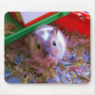 Gerbilauflage Mousepad