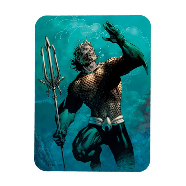 Gerechtigkeitsliga #10 Aquaman Drowned Earth Varia Magnet (Vertikal)