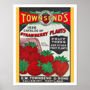GERECYCELT KUNST: SAATKATALOG 1936 POSTER