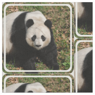 Gereizter Panda-Bär Stoff