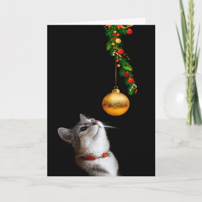 Gereiztes Miezekatzekatze Weihnachten (Vorderseite)